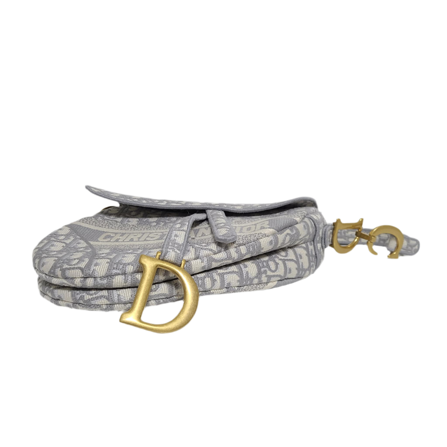 Dior Saddle Bag with Strap Medium