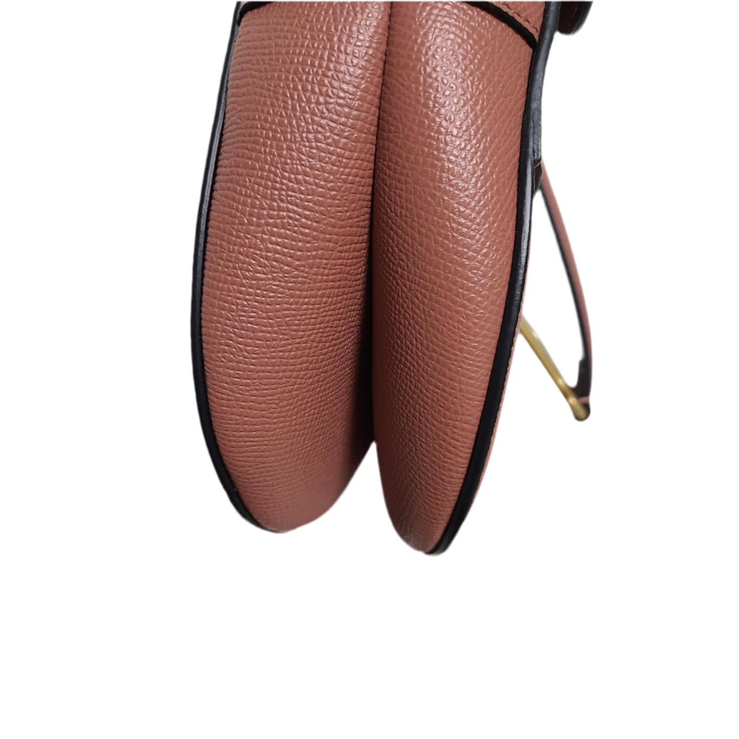 Dior Saddle Bag M