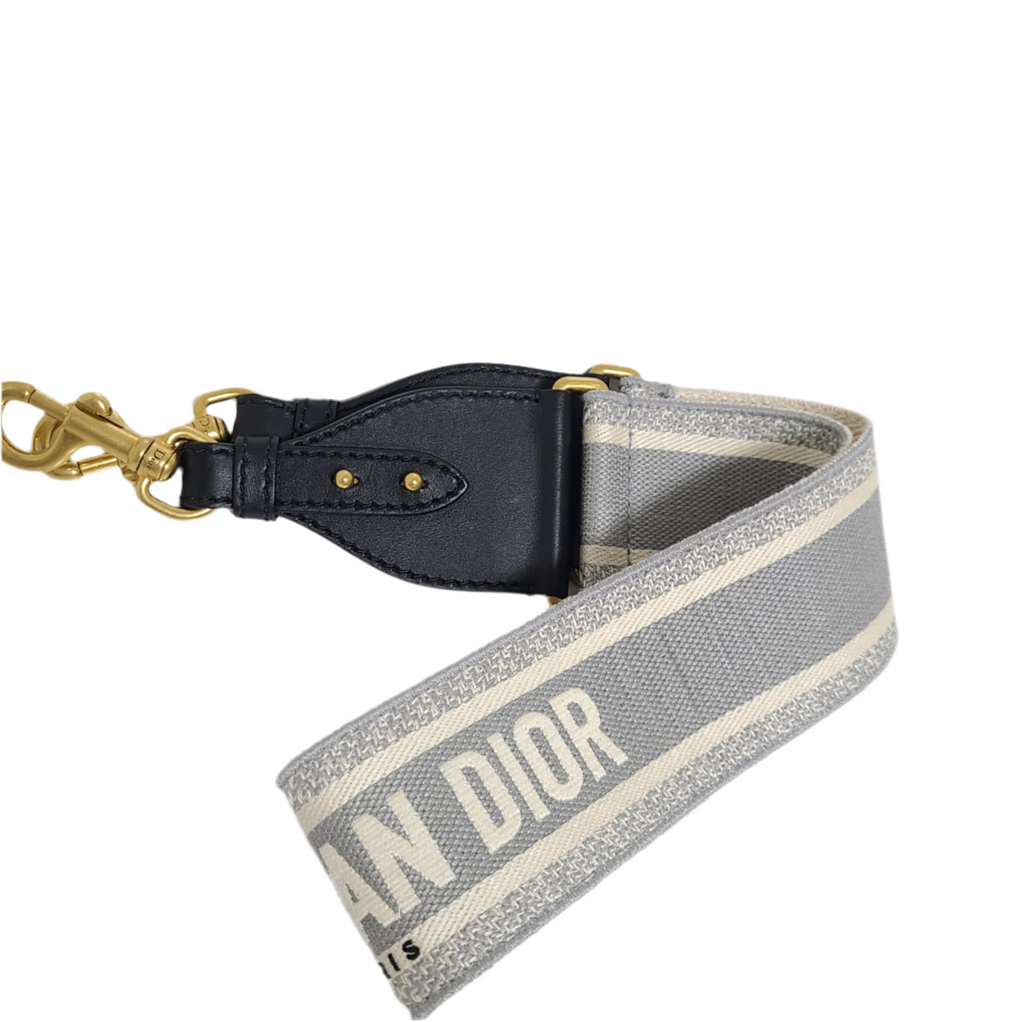 Dior Saddle Bag with Strap Medium