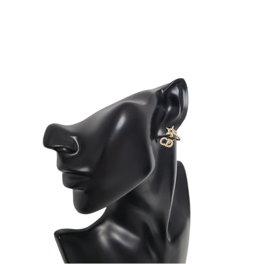 DIOR Clair D Lune Earrings